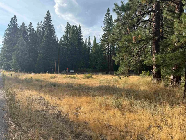 a view of yard covered with snow