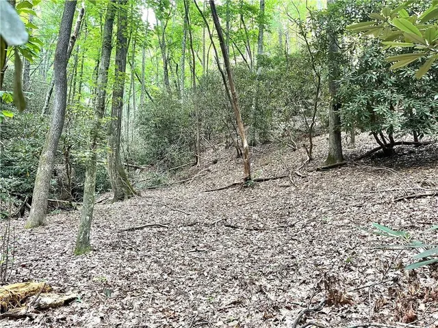 $189,900 | Tbd Tbd Buck Drive, Hays, NC 28635