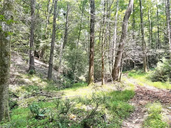 $189,900 | Tbd Tbd Buck Drive, Hays, NC 28635