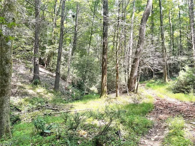 $189,900 | Tbd Tbd Buck Drive, Hays, NC 28635