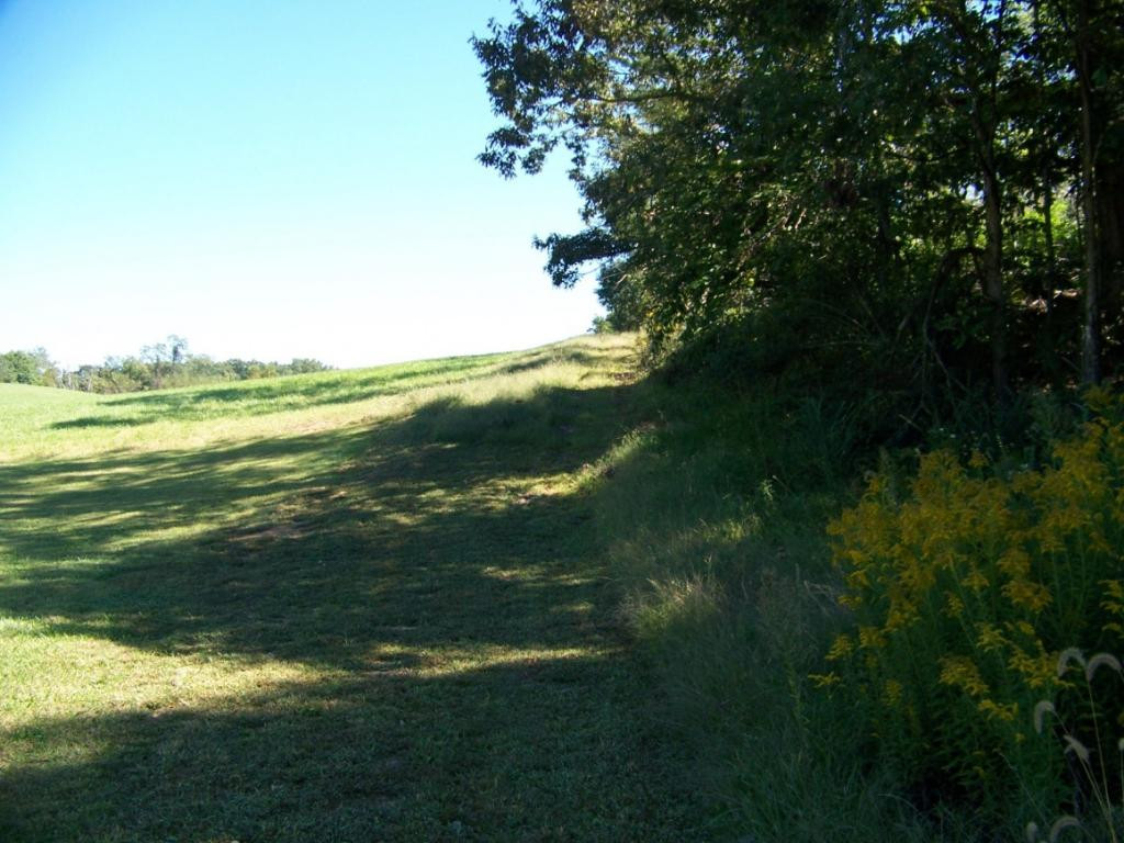 0 Warren Road Piney Flats, TN 37686 - Photo 1 of 4 Photo 1