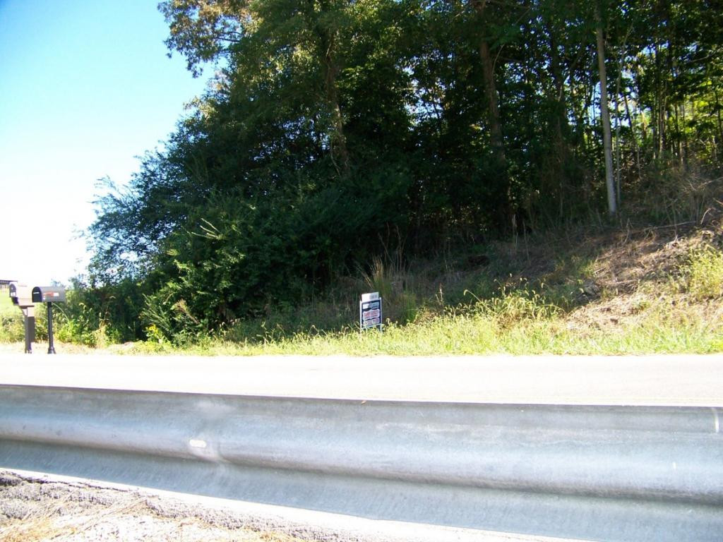 0 Warren Road Piney Flats, TN 37686 - Photo 3 of 4 Photo 3