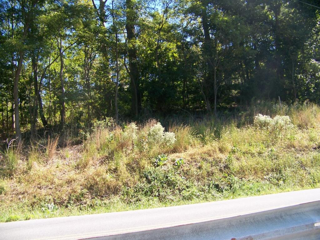 0 Warren Road Piney Flats, TN 37686 - Photo 4 of 4 Photo 4