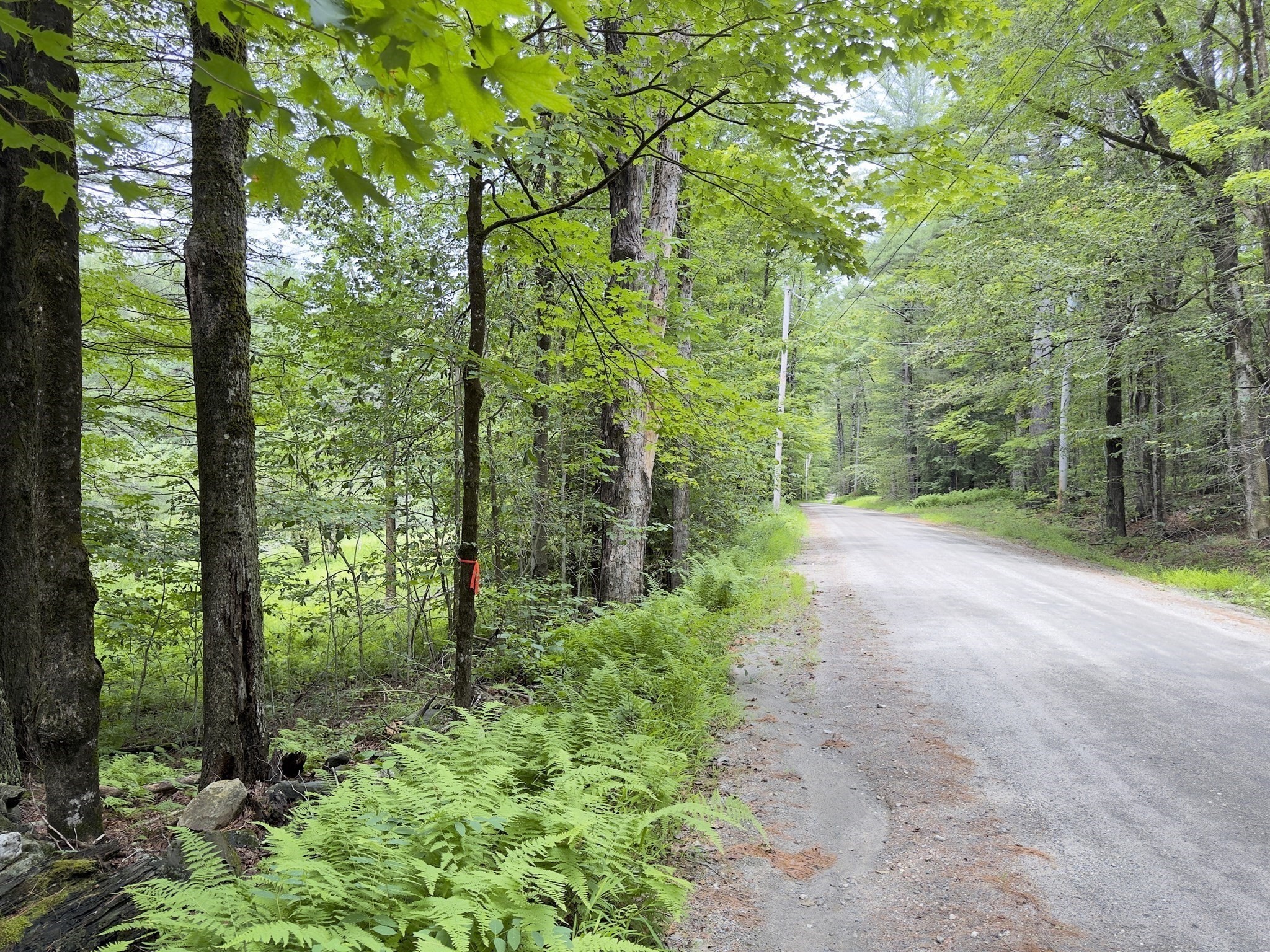 0 John Ford Road Ashfield, MA 01330 - Photo 5 of 9 Gallery Image 5