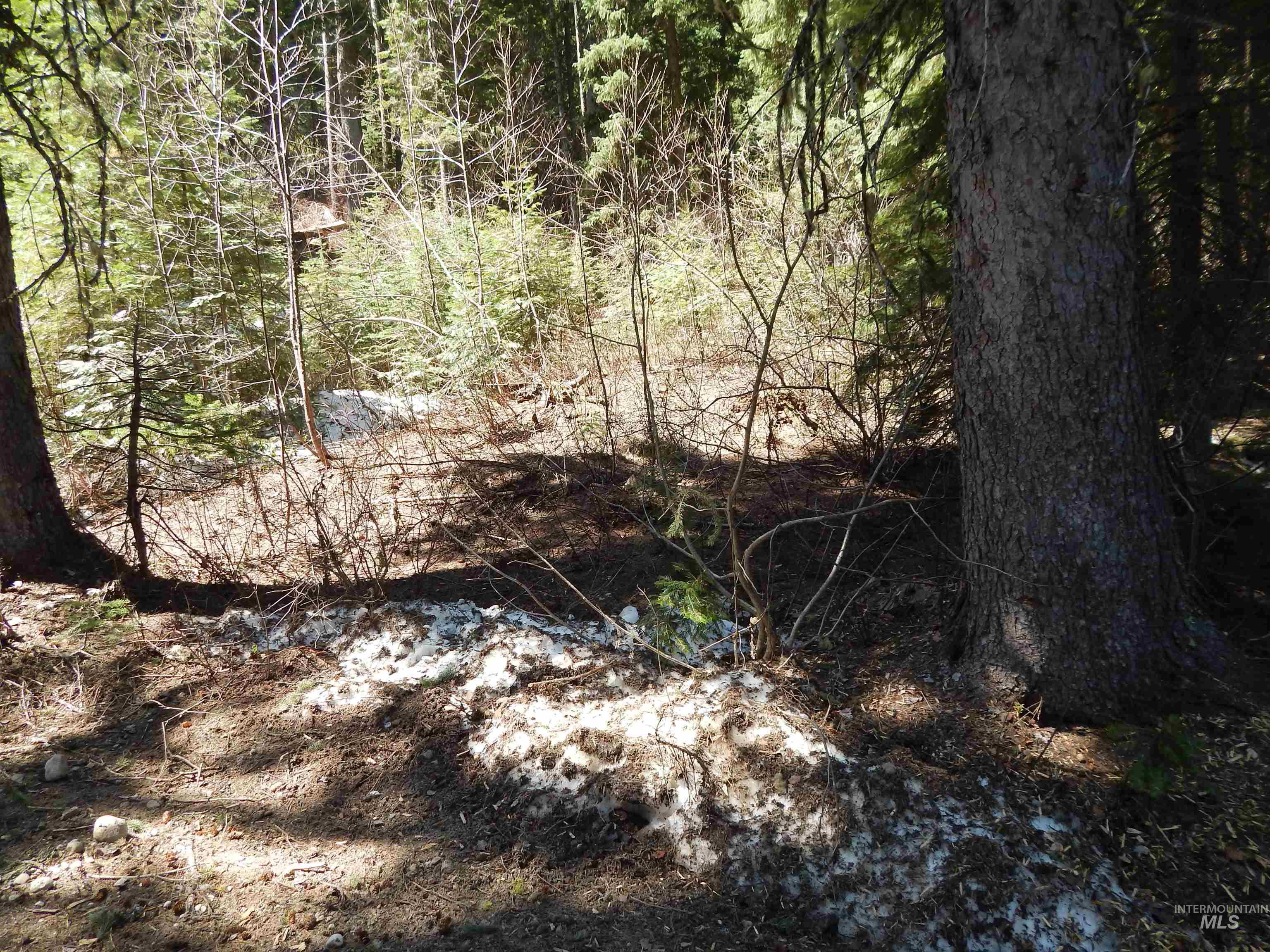 1601 Bear Trail Loop Cascade, ID 83611 - Photo 21 of 26