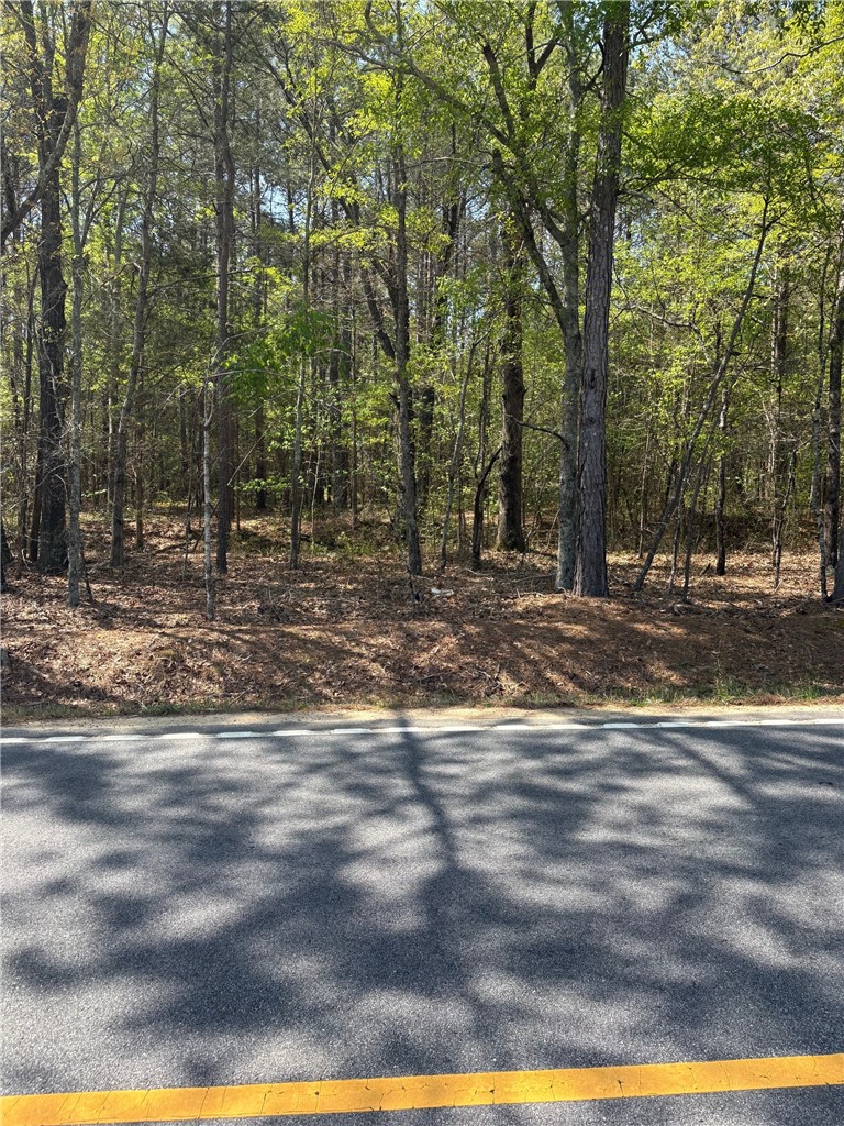 3120 Flat Rock Road Iva, SC 29655 - Photo 2 of 2