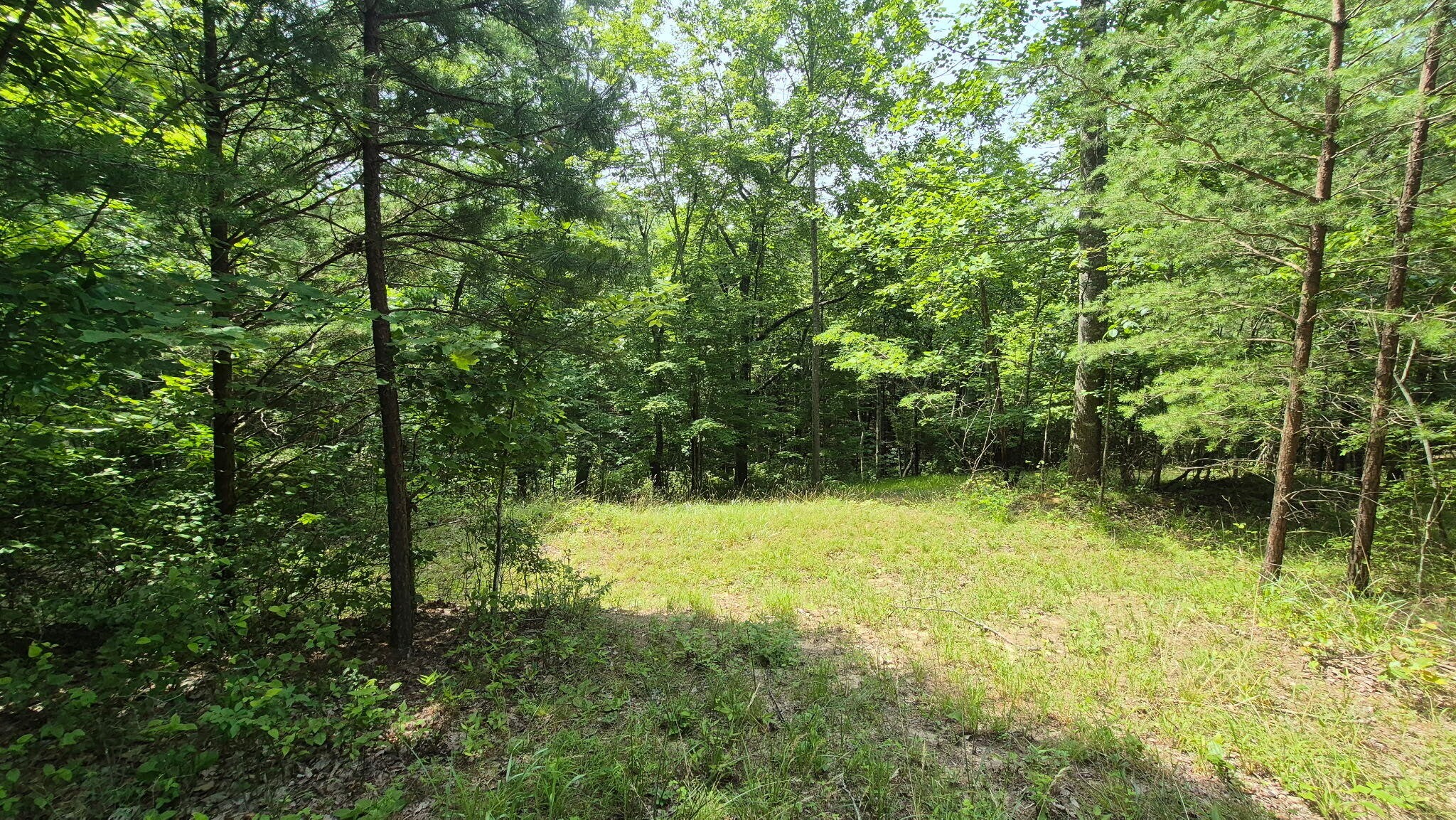 1255 Cherokee Path Jasper, TN 37347 - Photo 4 of 45