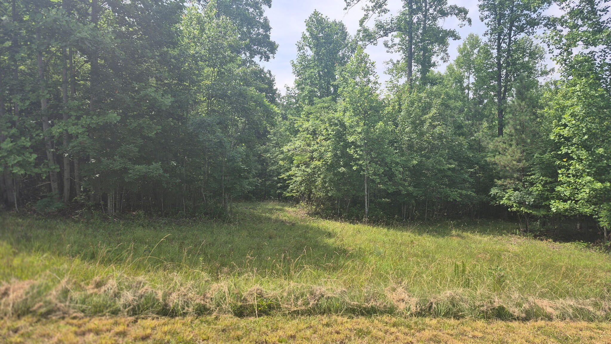 1255 Cherokee Path Jasper, TN 37347 - Photo 5 of 45