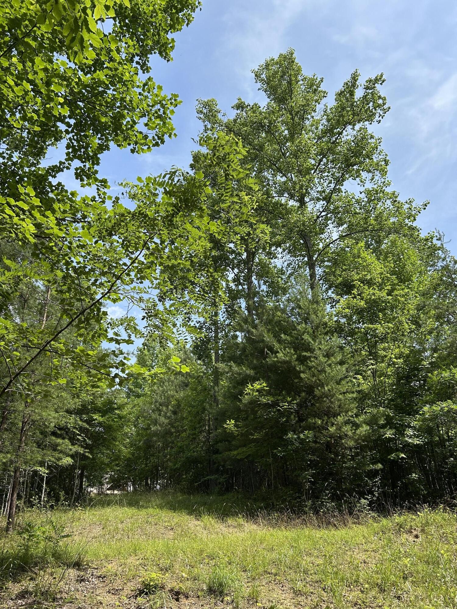 1255 Cherokee Path Jasper, TN 37347 - Photo 6 of 45