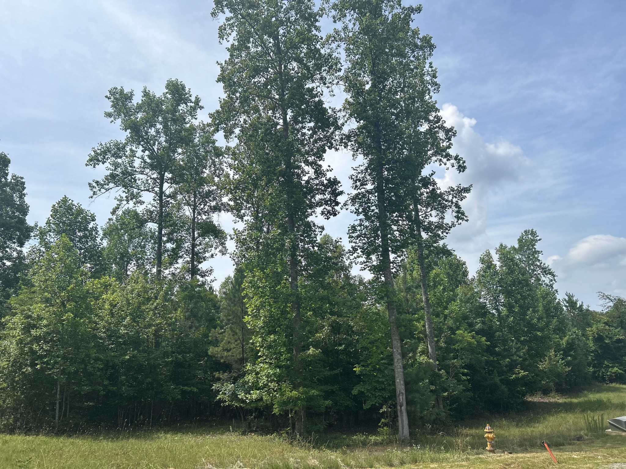 1255 Cherokee Path Jasper, TN 37347 - Photo 7 of 45