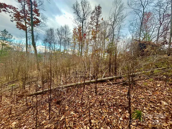 a view of a yard with wooden fence and trees