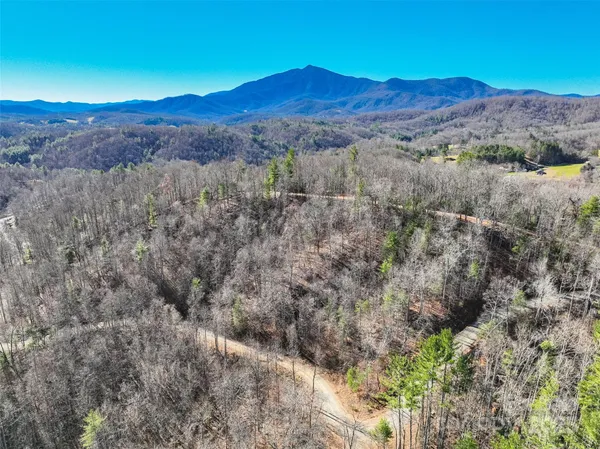 a view of a forest with mountains in the background