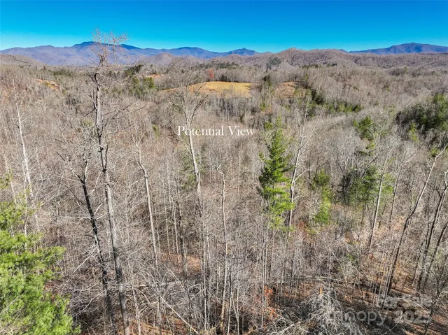 a view of a mountain in the distance