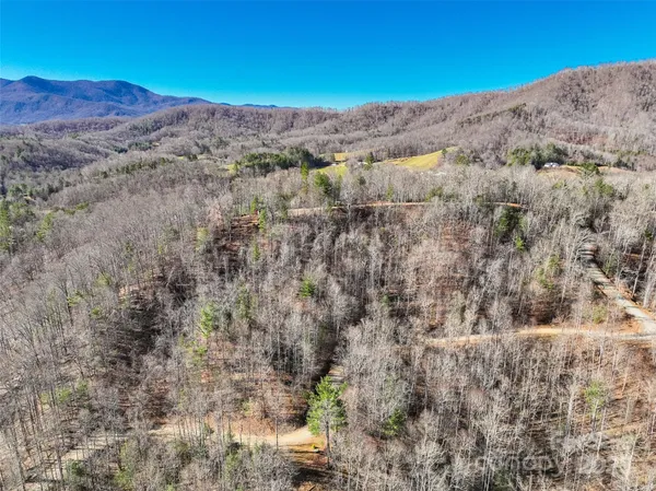 a view of a forest with mountains in the background