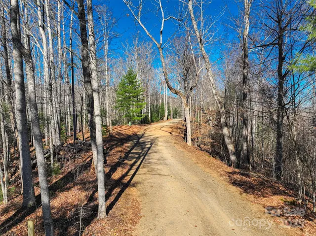 a view of a pathway with a yard