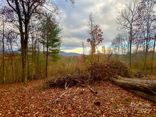a view of a backyard of the house