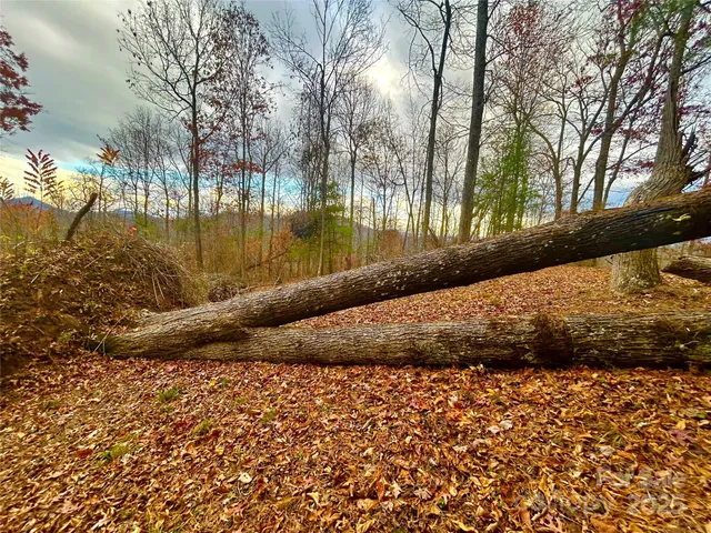 a view of a lake with a yard