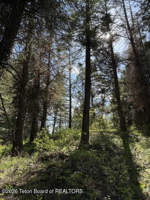 77 Redwood Road Star Valley Ranch, WY 83127 - Photo 6 of 8 IMG_4751