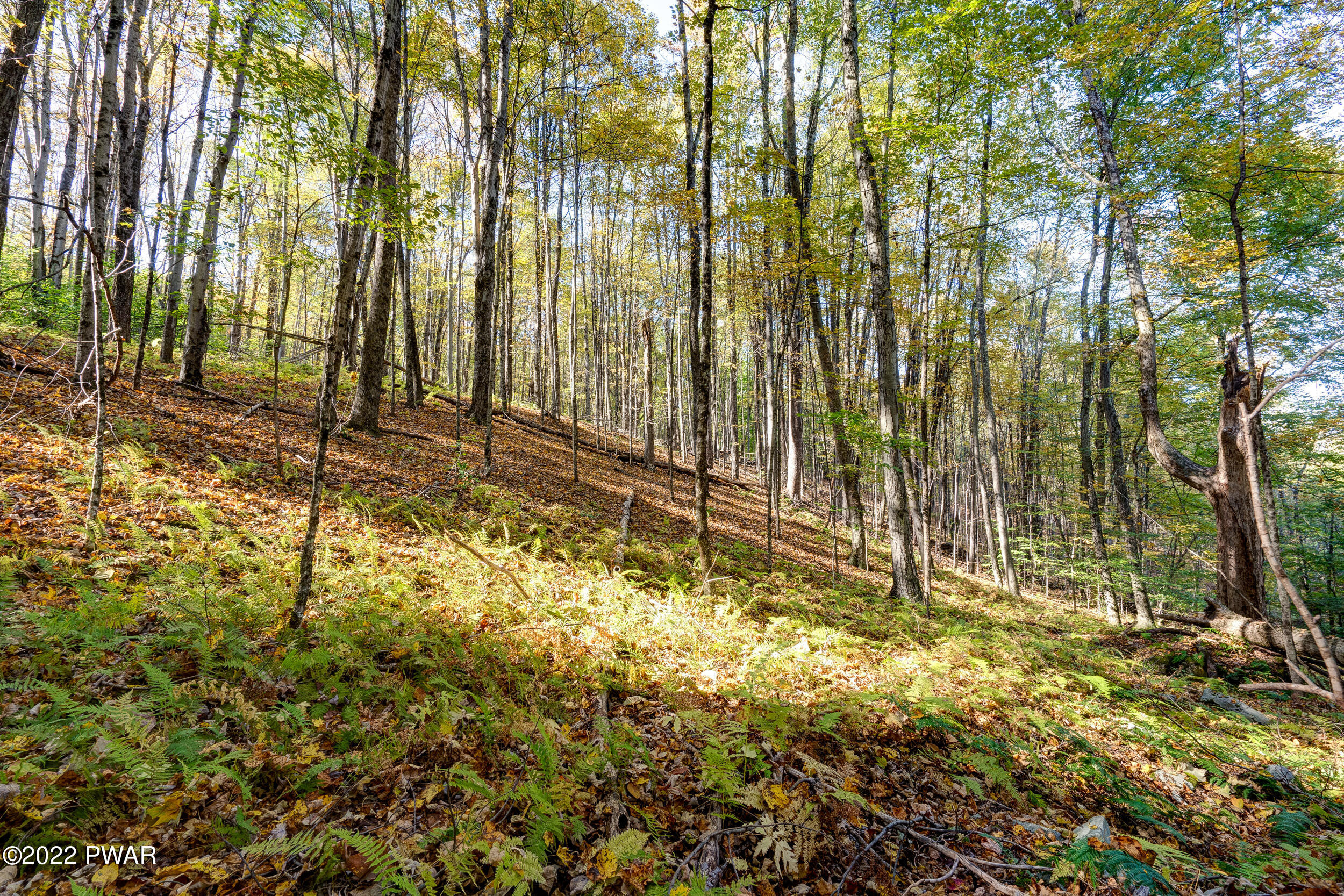 2-5 Plank Rd Beach Lake Beach Lake, PA 18405 - Photo 27 of 32