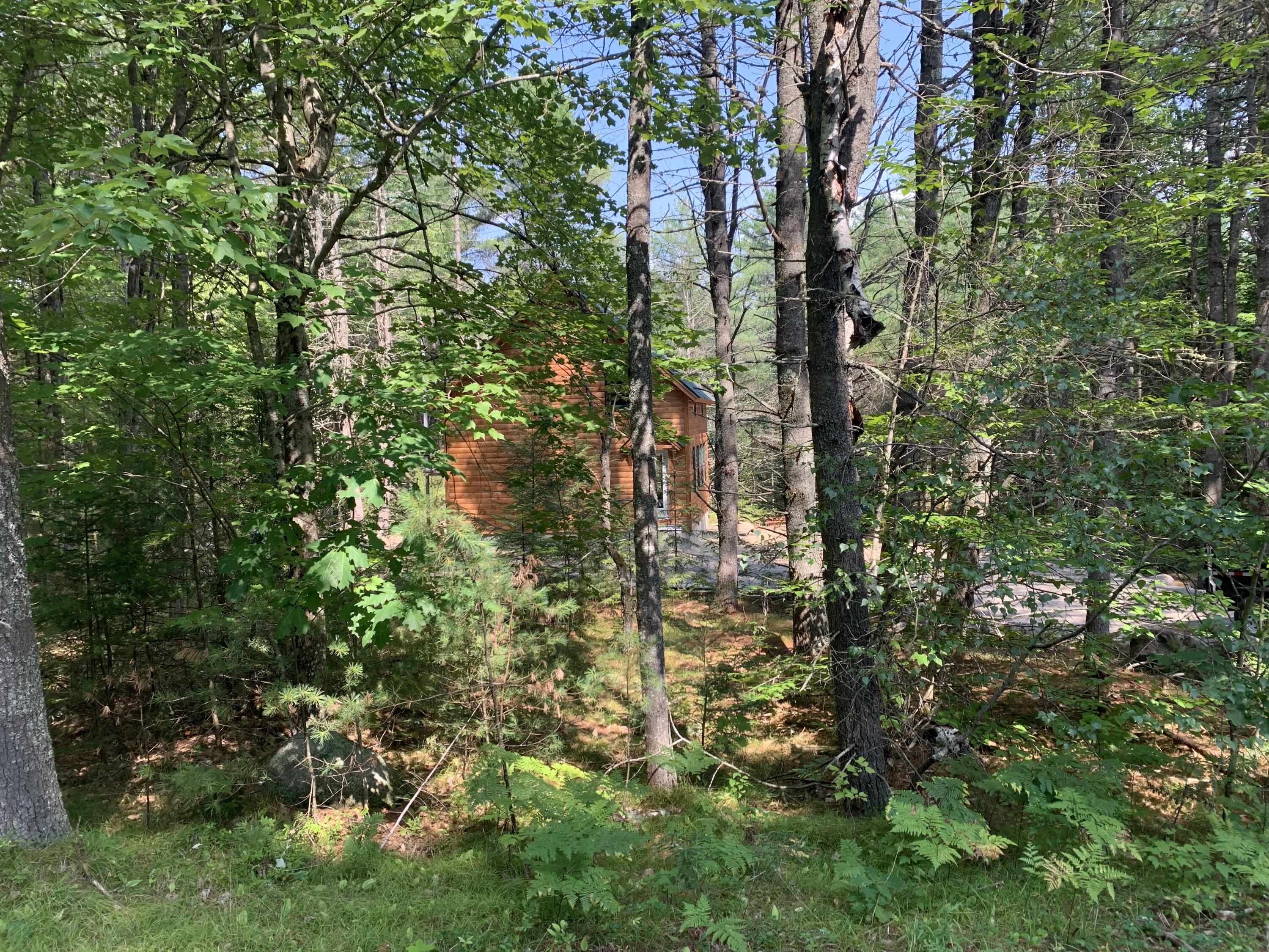 91 Big Woods Road Harrison, ME 04040 - Photo 4 of 13 IMG_5892