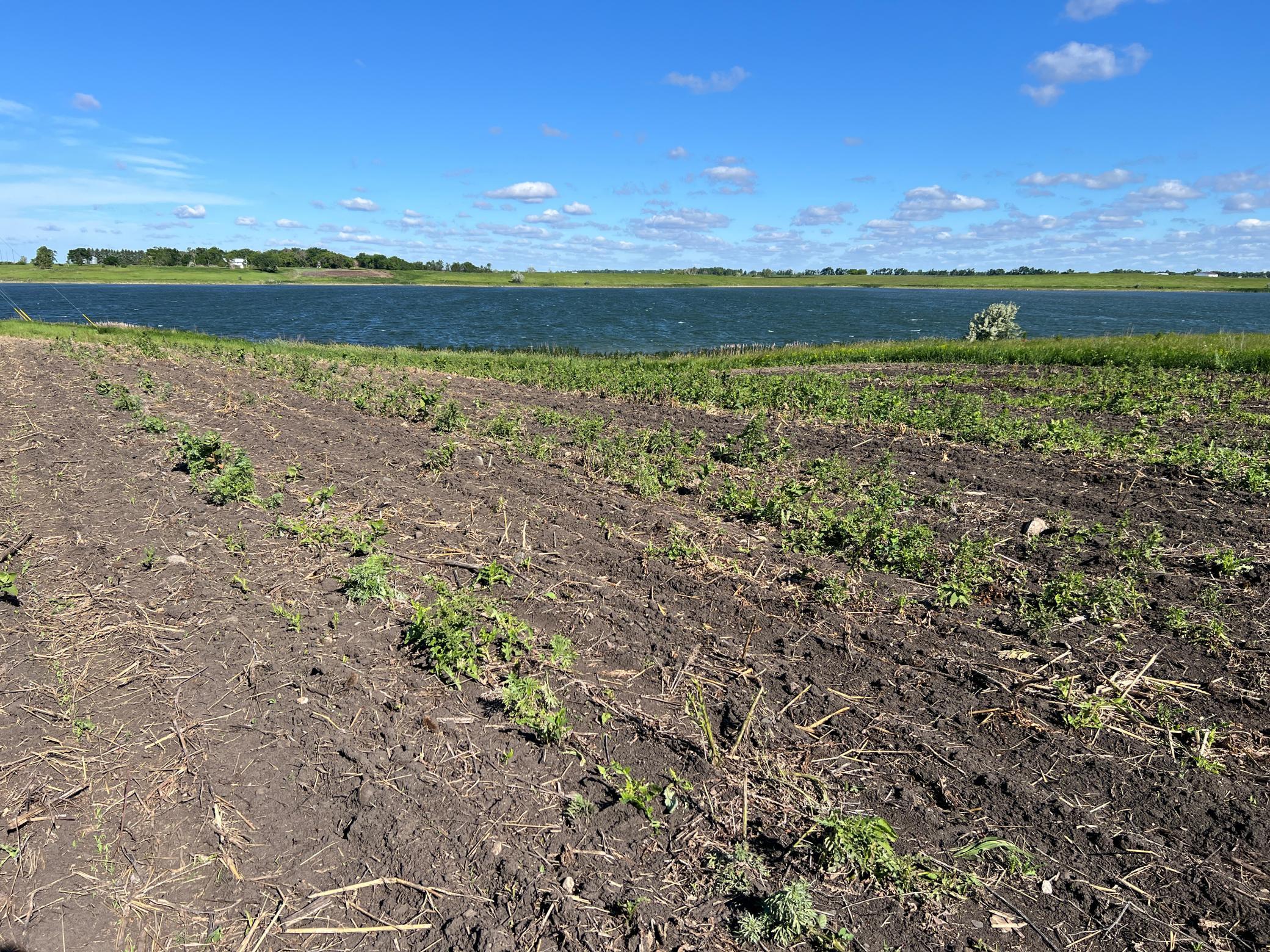 Tbd Southeast Tbd Se 90th Street Rutland, ND 58067 - Photo 51 of 105