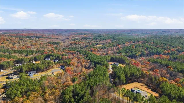 an aerial view of residential houses with outdoor space and trees