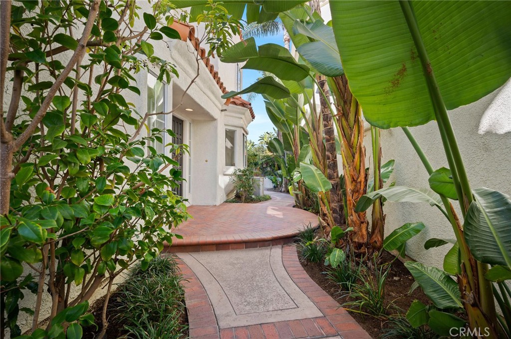 17 St John Dana Point, CA 92629 - Photo 25 of 30 a view of an outdoor space and a yard