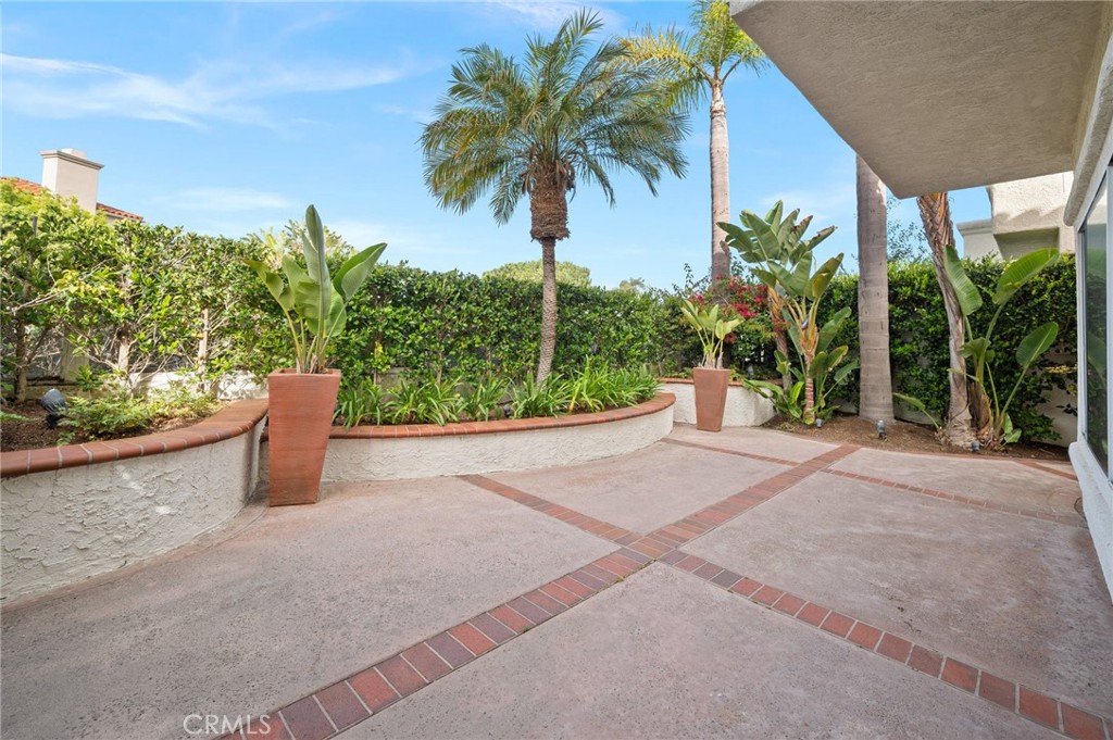 17 St John Dana Point, CA 92629 - Photo 28 of 30 a view of a garden with a plants
