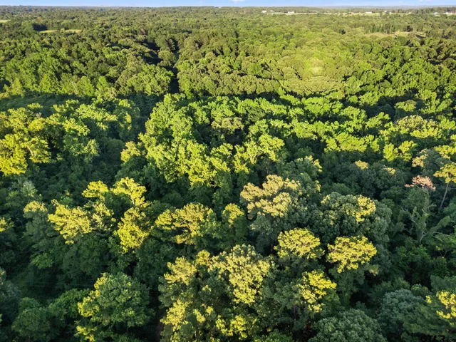 $18,000 | 812 Crescent, Bullard, TX 75757