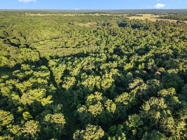 $18,000 | 812 Crescent, Bullard, TX 75757