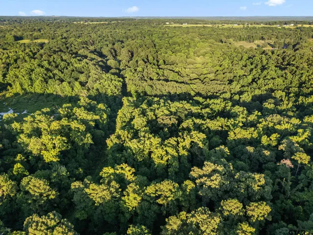 $18,000 | 812 Crescent, Bullard, TX 75757