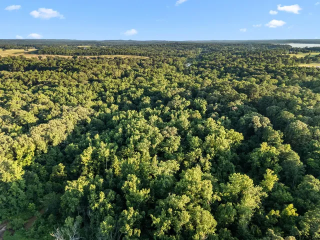 $18,000 | 812 Crescent, Bullard, TX 75757