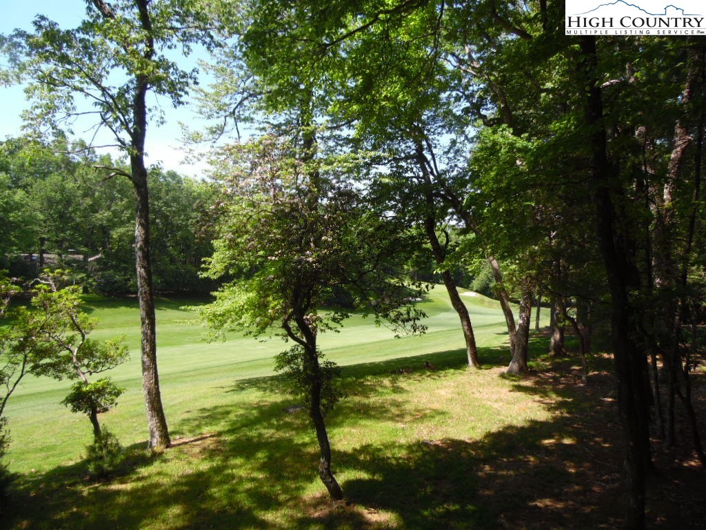227 Deer Run Road Glade Valley, NC 28627 - Photo 16 of 25 Gallery Image 16