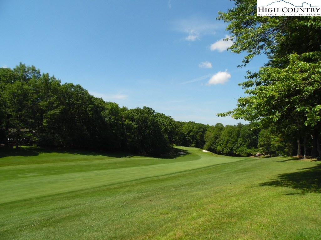 227 Deer Run Road Glade Valley, NC 28627 - Photo 7 of 25 Gallery Image 7