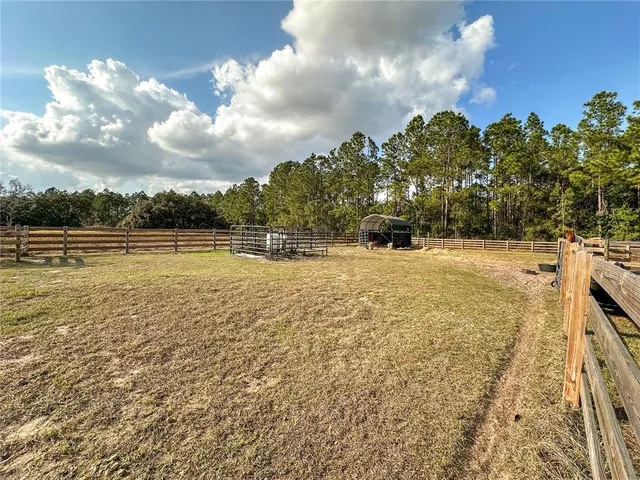 a view of a backyard with a large tree