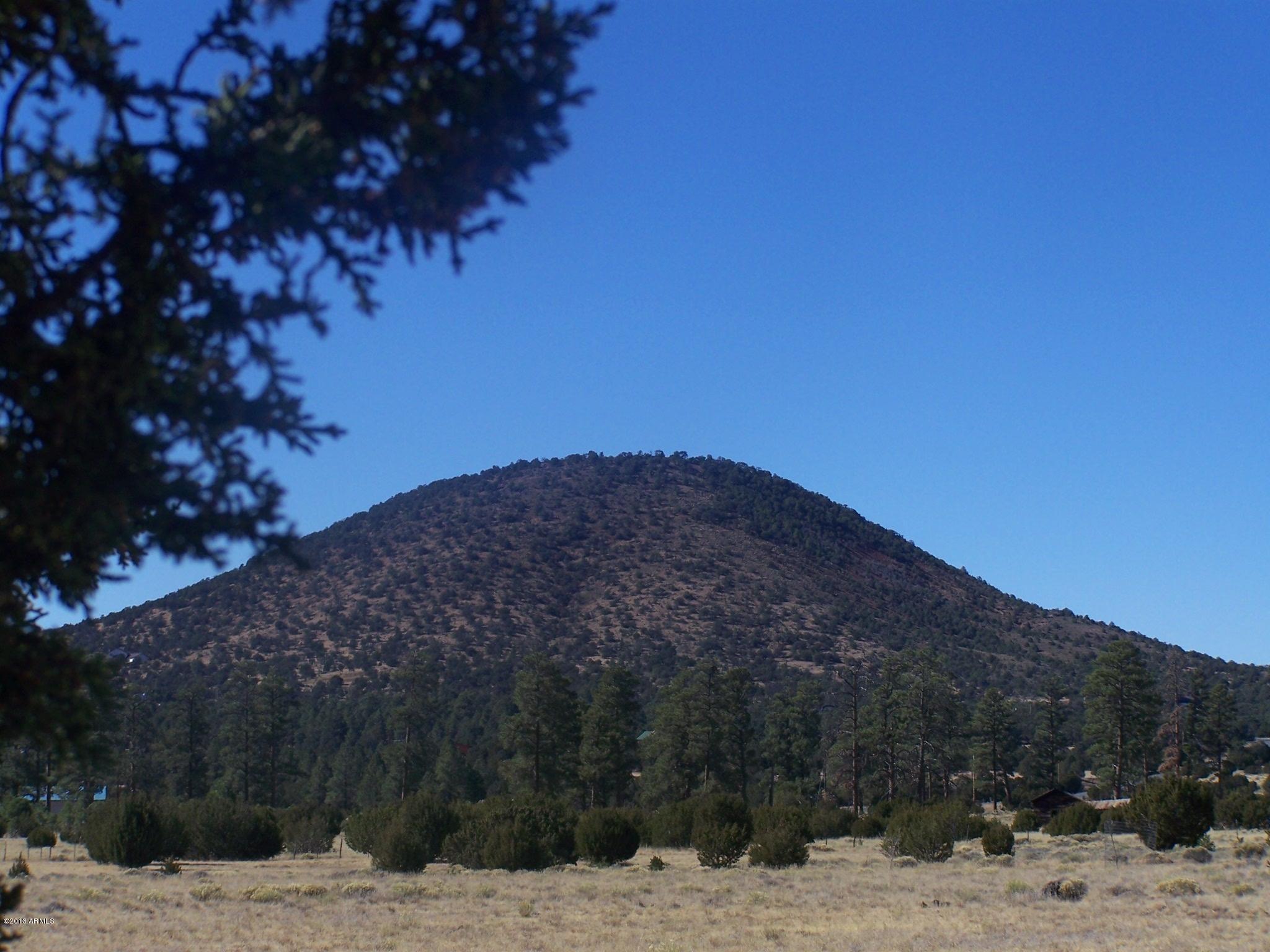 2741 East Spring Valley Road Williams, AZ 86046 - Photo 39 of 40 100_4844