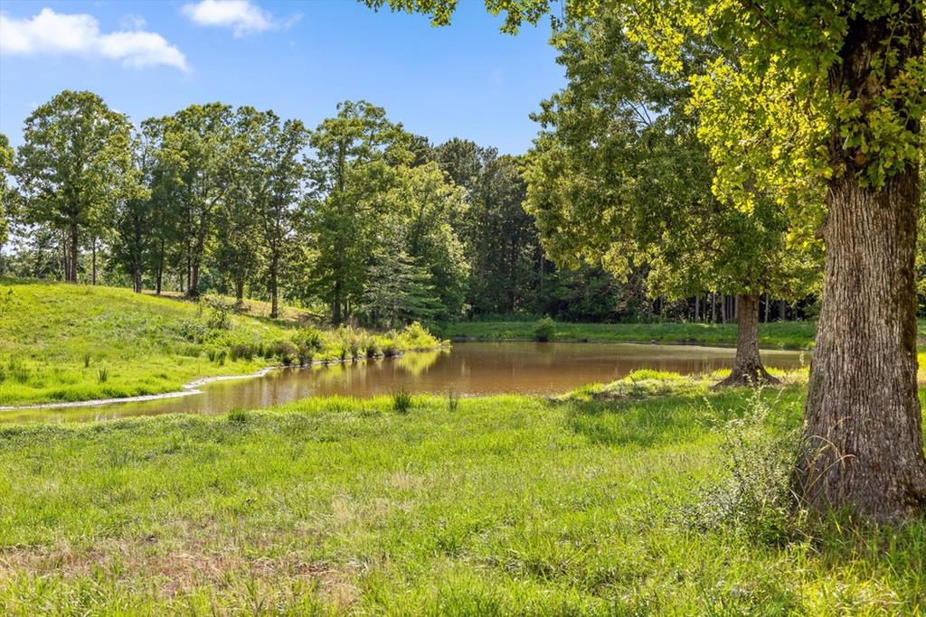 0 Tom Terry Road Chatsworth, GA 30705 - Photo 19 of 29