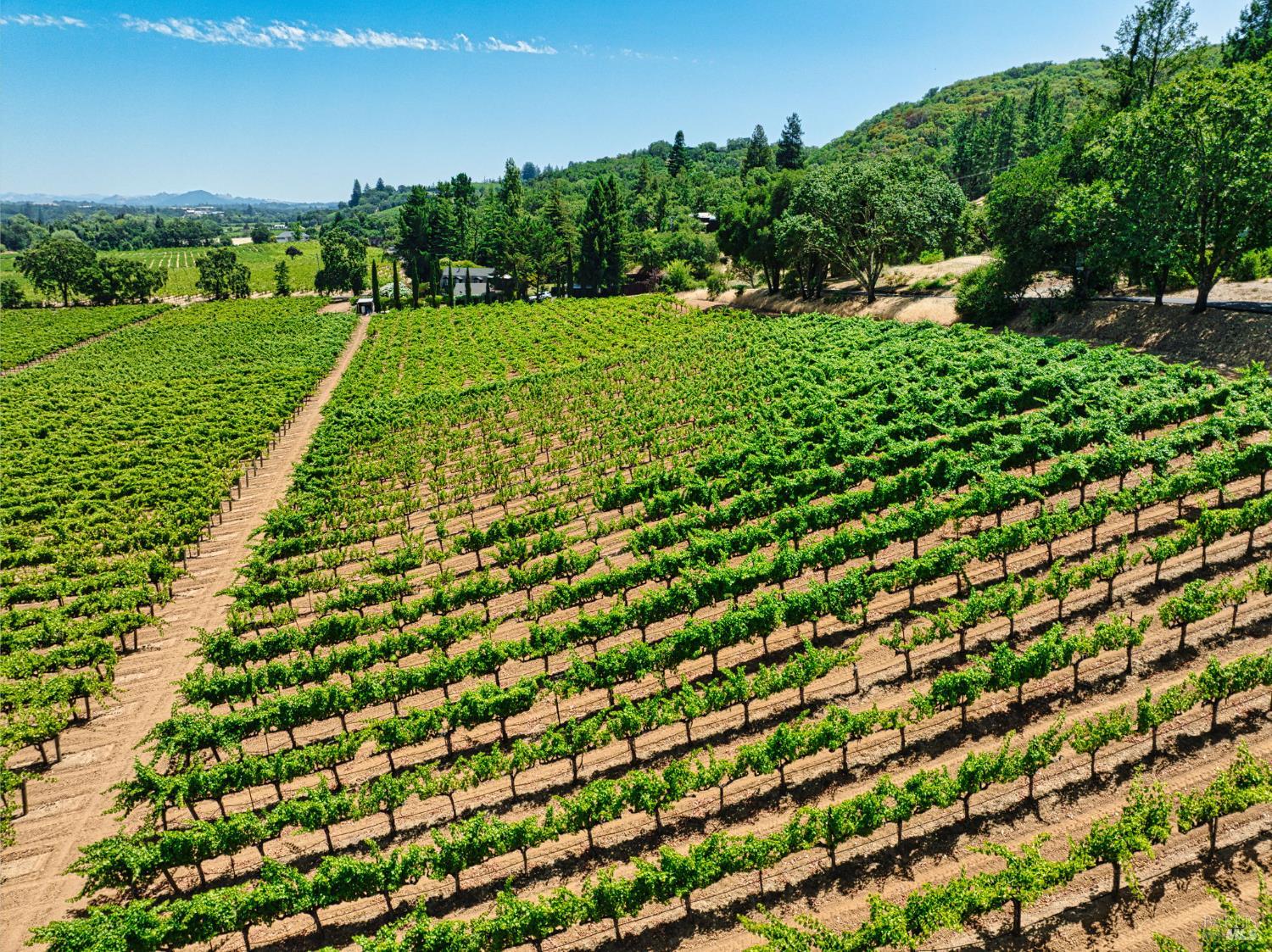 7874 West Dry Creek Road, Unit LOT 5 Healdsburg, CA 95448 - Photo 18 of 20 a view of a green field