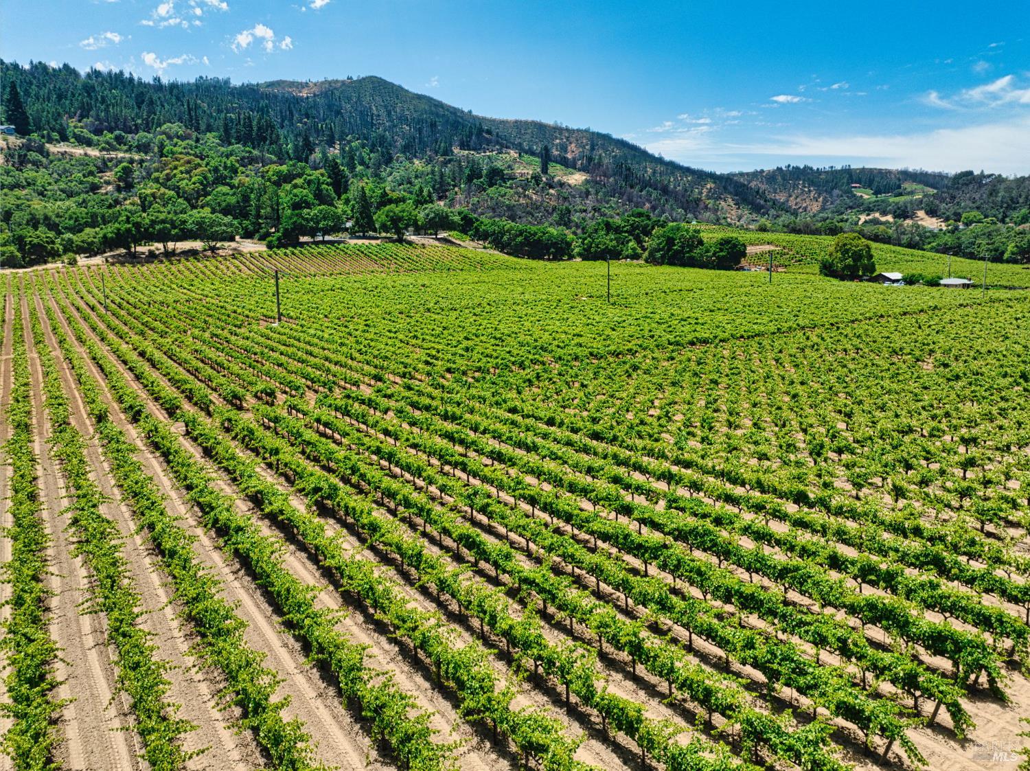 7874 West Dry Creek Road, Unit LOT 5 Healdsburg, CA 95448 - Photo 20 of 20 a view of a lush green field