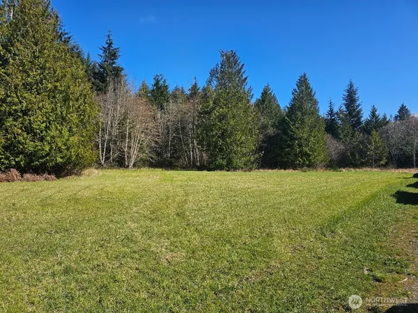 a view of outdoor space and yard