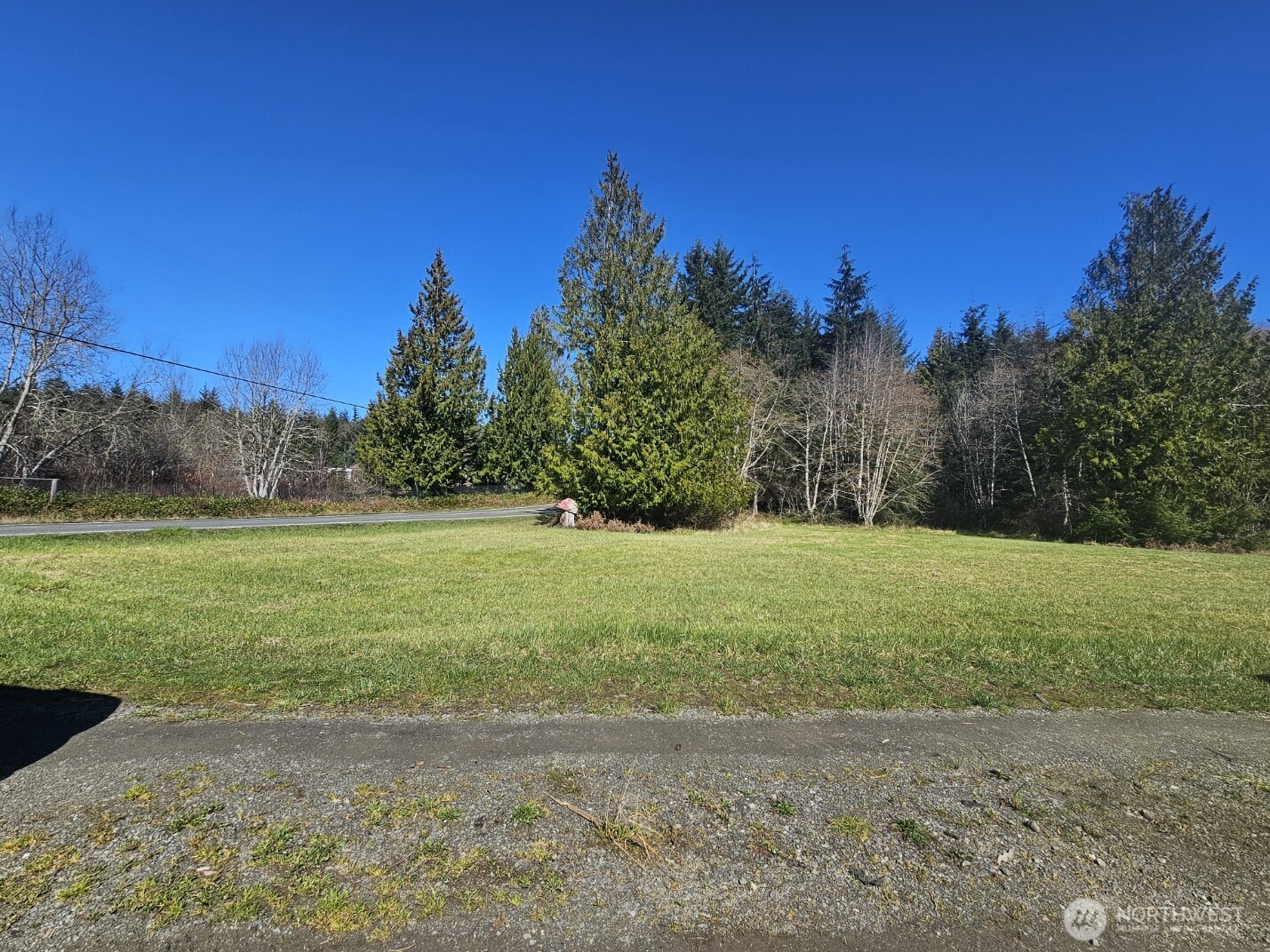 9999 Crescent Beach Road Port Angeles, WA 98363 - Photo 15 of 28 a view of a yard with a tree