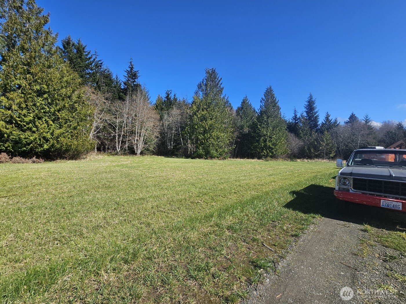 9999 Crescent Beach Road Port Angeles, WA 98363 - Photo 16 of 28 a view of a field with trees in the background