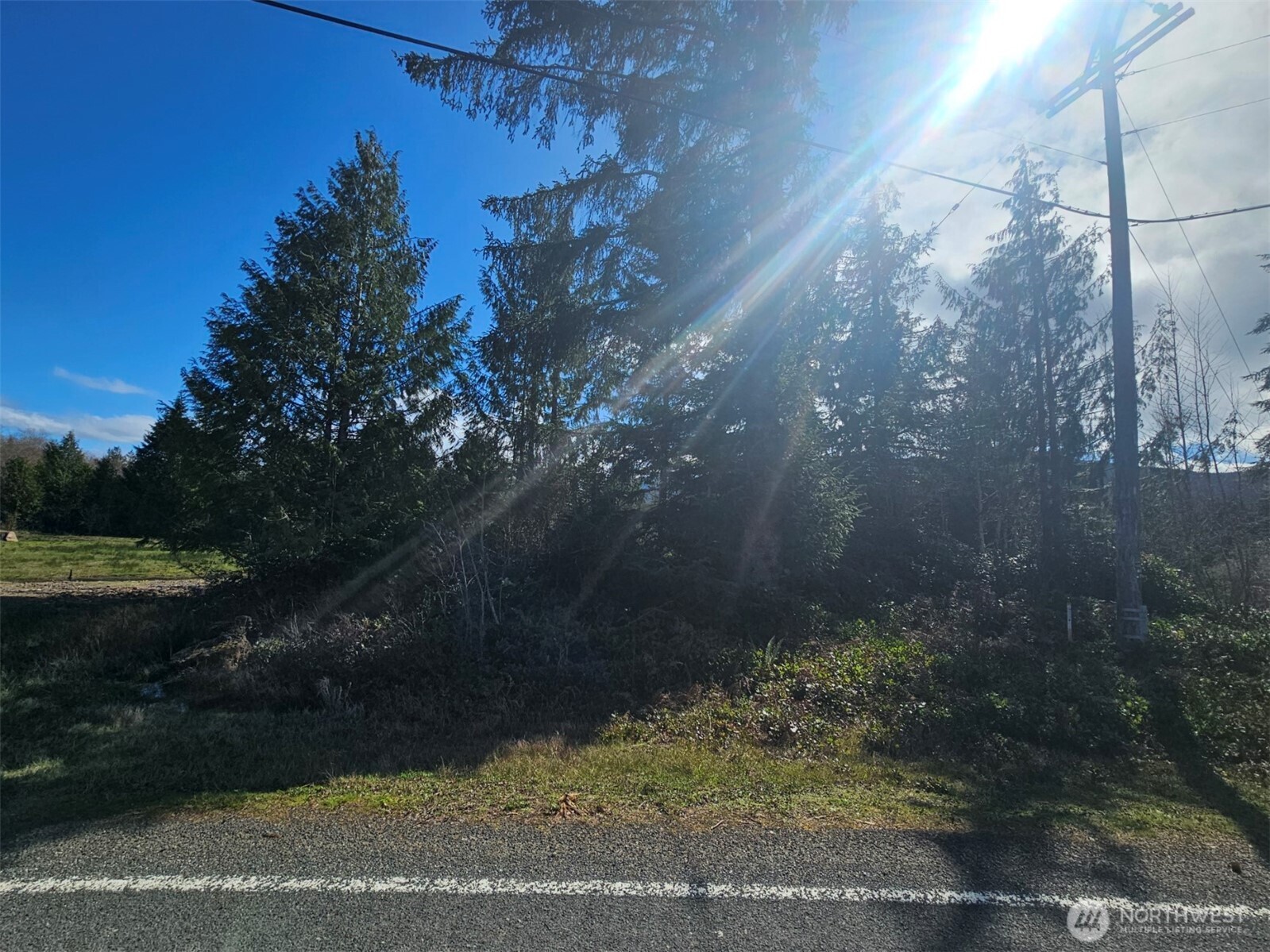 9999 Crescent Beach Road Port Angeles, WA 98363 - Photo 19 of 28 a view of yard from window