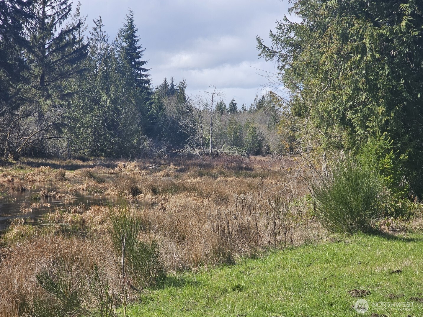 9999 Crescent Beach Road Port Angeles, WA 98363 - Photo 8 of 28 a view of a yard with a tree