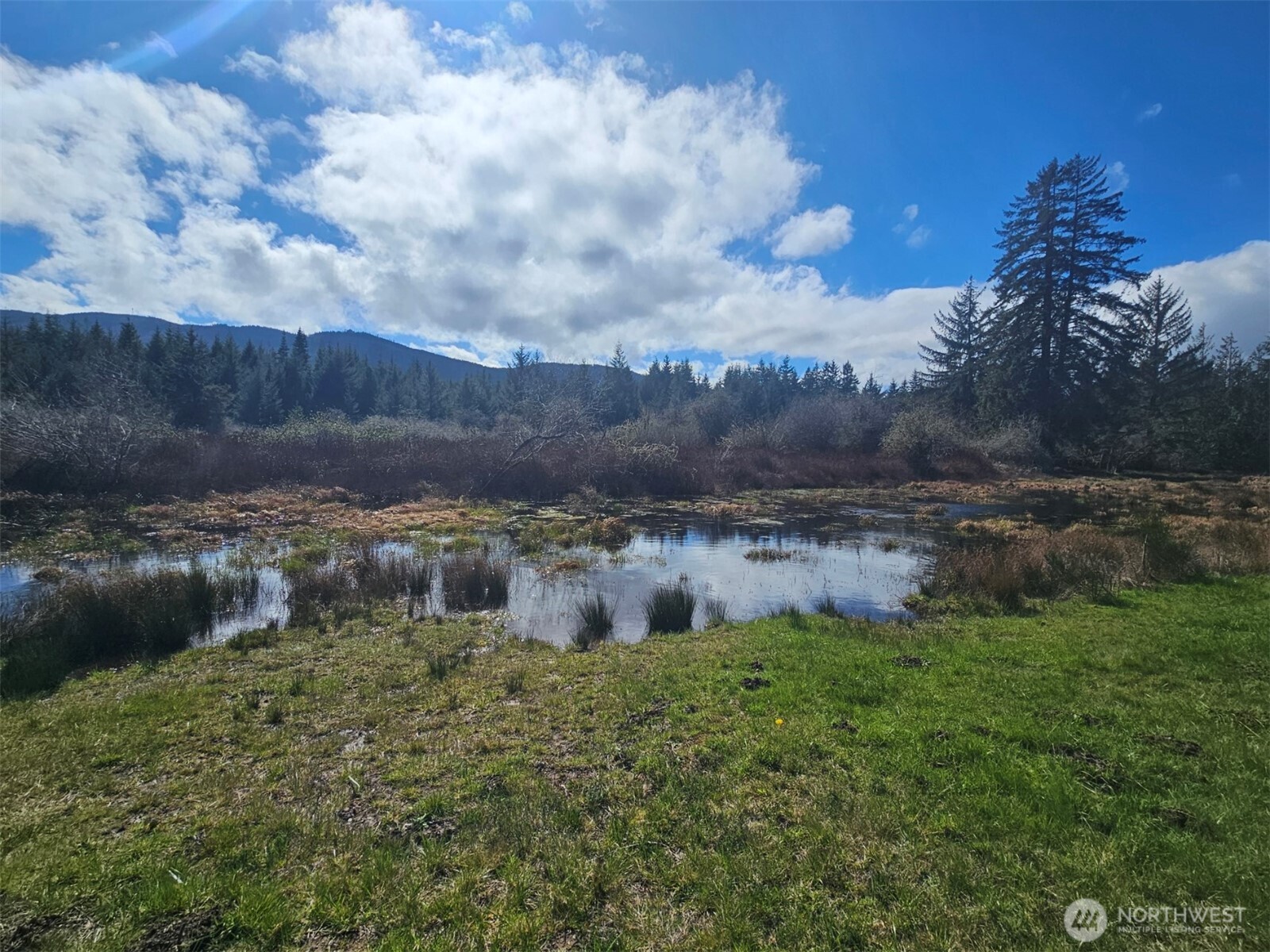 9999 Crescent Beach Road Port Angeles, WA 98363 - Photo 9 of 28 a view of a lake with a yard