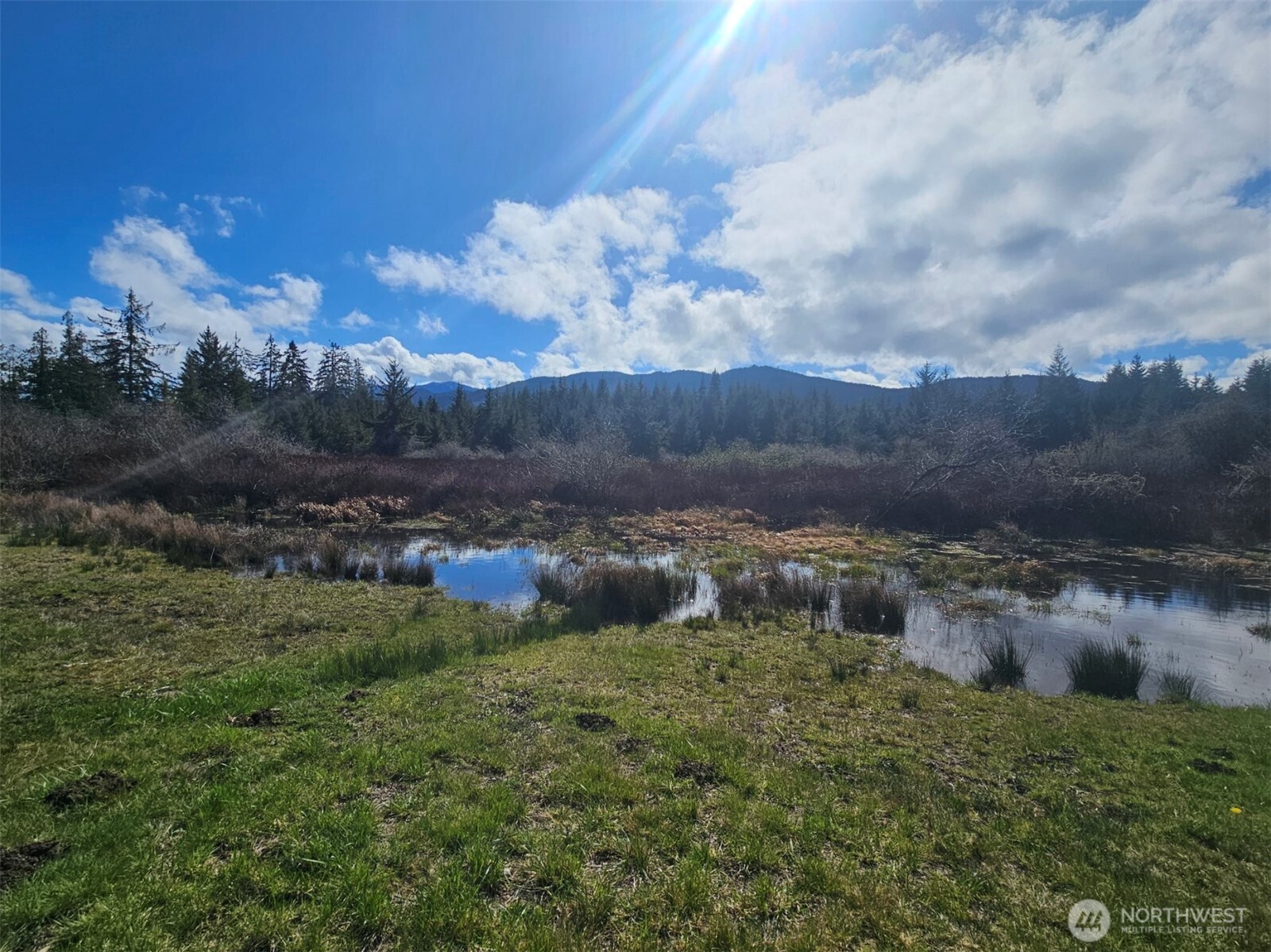 9999 Crescent Beach Road Port Angeles, WA 98363 - Photo 10 of 28 a view of a yard