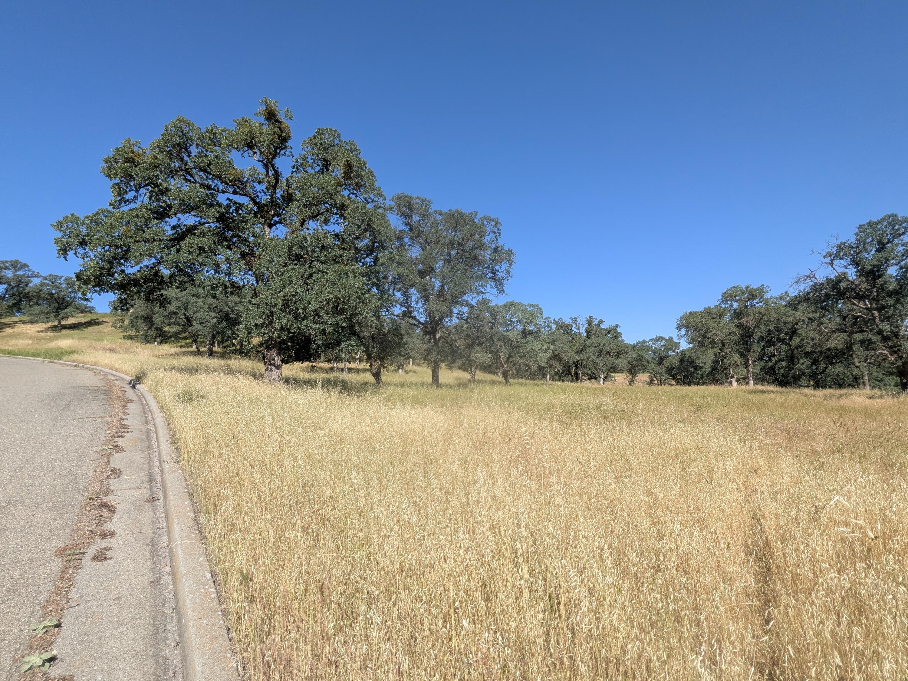 22580 Rio Robles Drive Red Bluff, CA 96080 - Photo 6 of 8 PXL_20260429_172813515