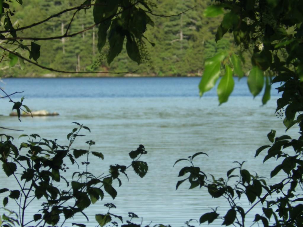 20 Spaulding Point Road Belgrade, ME 04917 - Photo 27 of 32 View from the living room.