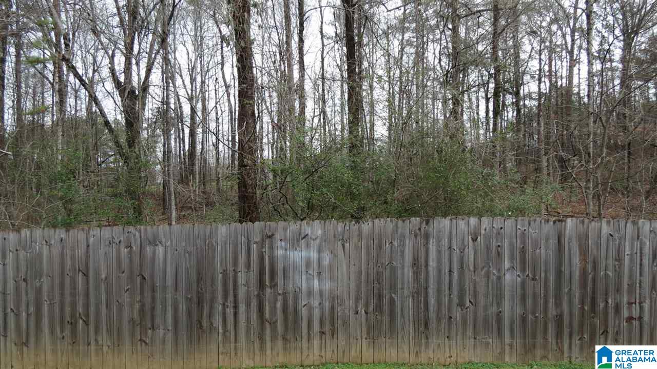 519 Baronne Street Helena, AL 35080 - Photo 41 of 46