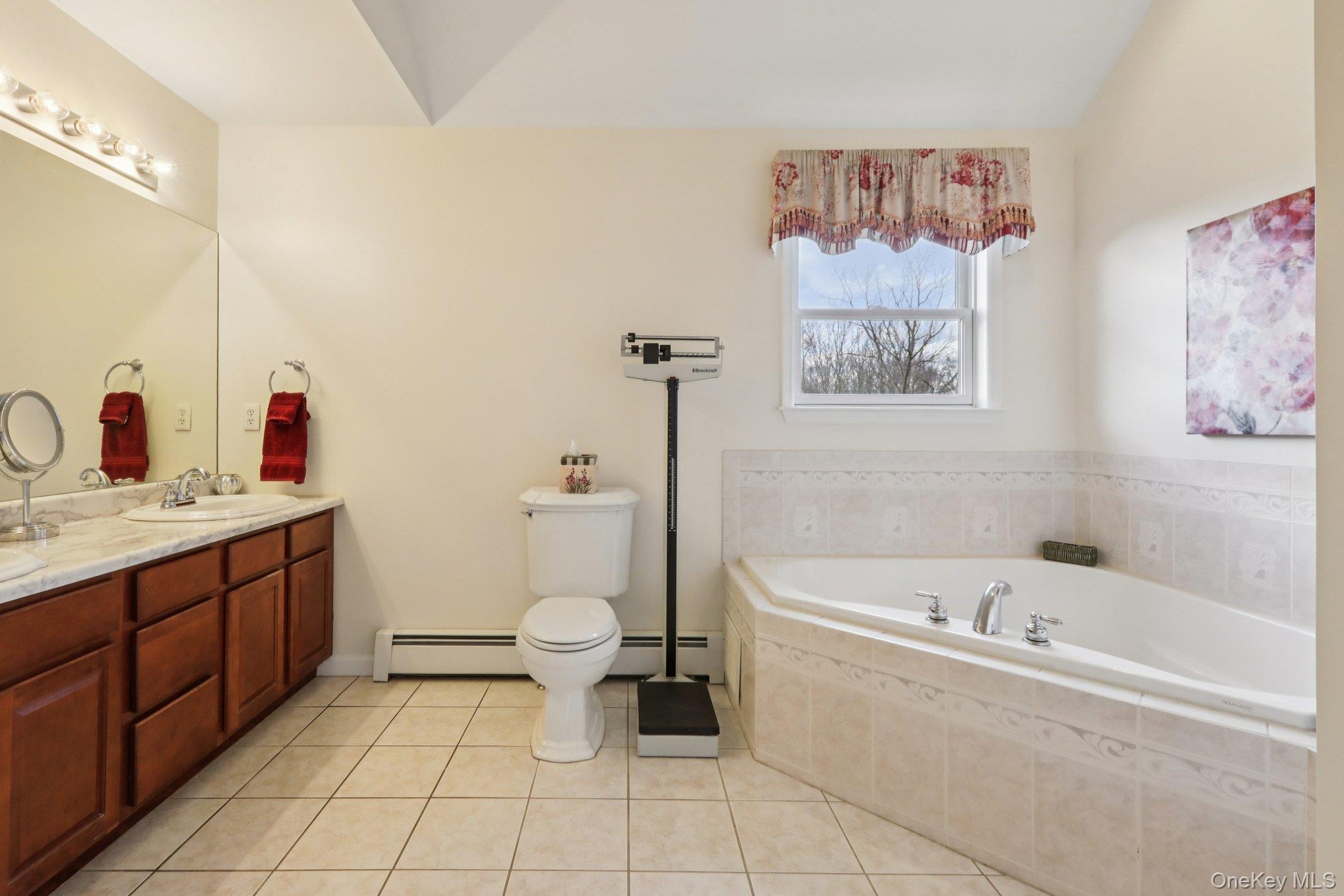 21 Bull Mine Road Chester, NY 10918 - Photo 29 of 48 Primary Bathroom with dual sinks and whirlpool tub.